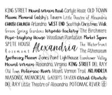 Alexandria, VA Travel Mug