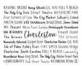 Charleston, SC Travel Mug