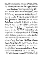 Waco, TX Spiral Notebook