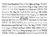 Names of Jesus Tumbler