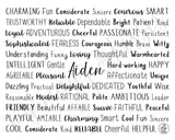 Aiden Digital Download