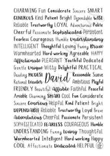 David Spiral Notebook