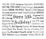 30th Birthday Travel Mug